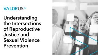 White background black letters blue VALOR logo Right side people looking upward